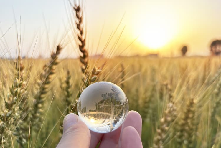 再生可能エネルギーとは?初心者にもわかる基本とEVとの深い関係